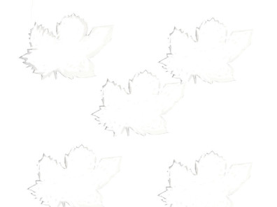 Coloriage: les feuilles