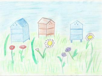 Les ruches