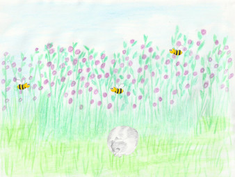 Les abeilles arrivent
