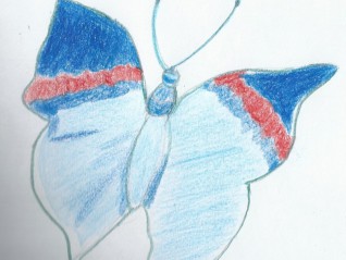 un papillon