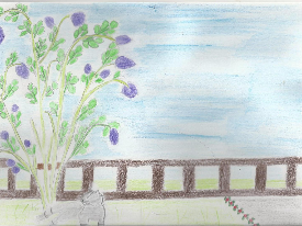 Mascotte sous le lilas