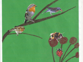 nos amis du jardin