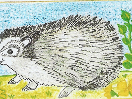 Le hérisson