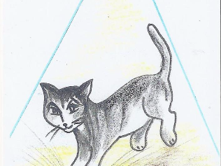 La chatte saute dans la flaque