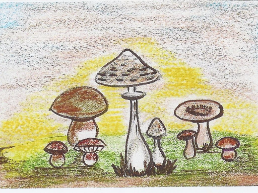 Les champignons