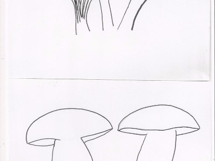 coloriage: les champignons